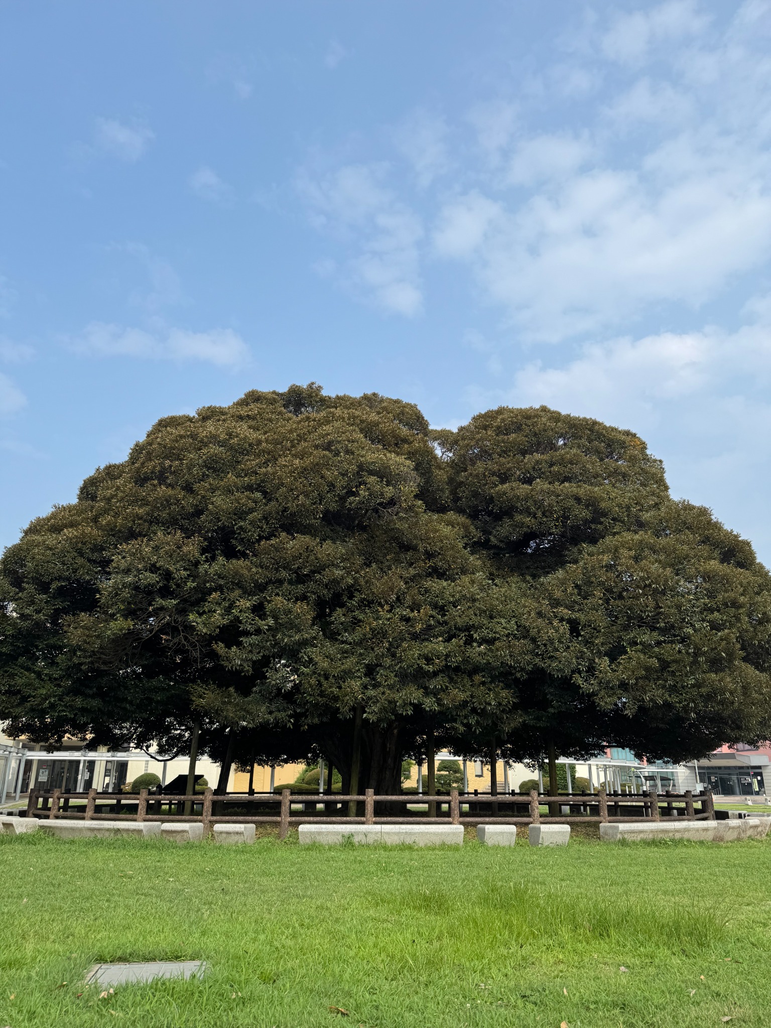 城里町の自然風景